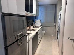 Angullia Park Residences @ Orchard (D10), Apartment #527092841